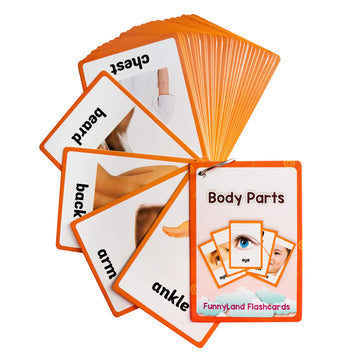 Lilias Body Parts Flash Cards, Toddler Learning Toys, Preschool Learning Toys, Homeschool Supplies, Learning Supplies For Kindergarten, 4.3 X 3.14 Inch, 34 Cards In Set