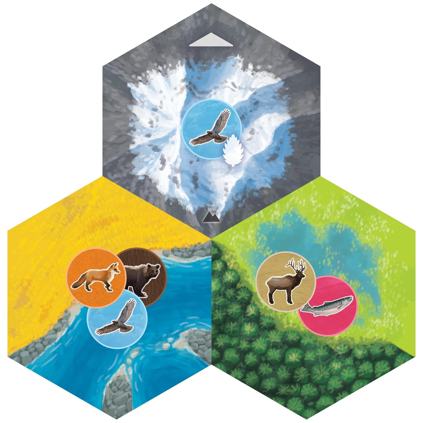 Aeg & Flatout Games | Cascadia: Landmarks - Expansion For Award-Winning Board Game, Cascadia | Easy To Learn | Quick To Play | Ages 10+ | Adds 5Th & 6Th Player