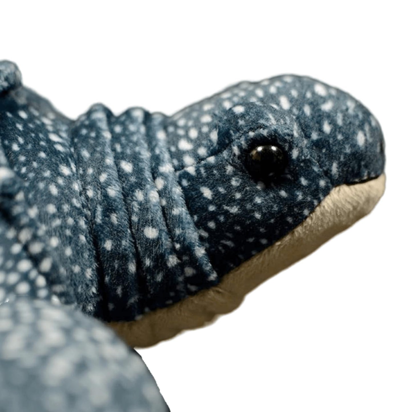 FRANKIEZHOU Realistic Leatherback Turtle Plush Toy - Soft 12” Seaturtle Stuffed Animal - Blue - Perfect Gifts for Kids and Home Decor
