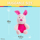 Kids Preferred Baby Winnie The Pooh And Friends Stuffed Animal With Jingle And Crinkle, Piglet 14” 9 Inch (Pack Of 1)