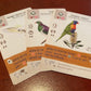 Stonemaier Games: Wingspan Oceania Expansion, Includes New Player Mats And A New Food Type, 40 To 70 Minute Play Time, 1 To 5 Pl