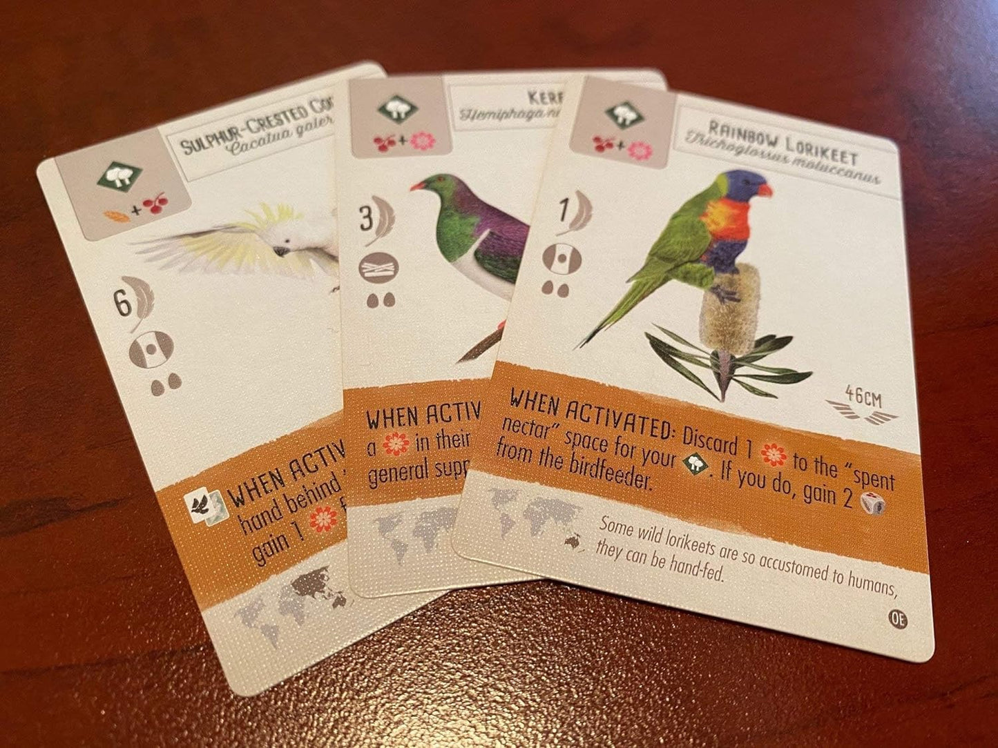 Stonemaier Games: Wingspan Oceania Expansion, Includes New Player Mats And A New Food Type, 40 To 70 Minute Play Time, 1 To 5 Pl