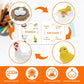 Mikneke Montessori Life Cycle Animal Figurines Learning & Education Toys, Plastic Turtle Chicken Ant Plant Mantis Salmon Toys For Kids, Preschool Learning Activities For Toddlers