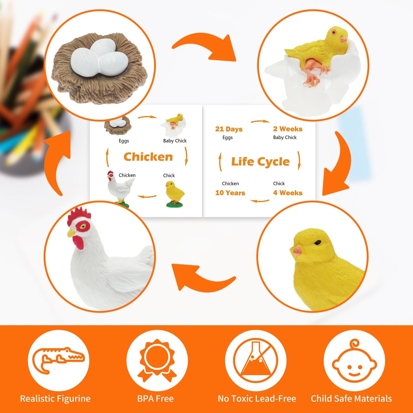 Mikneke Montessori Life Cycle Animal Figurines Learning & Education Toys, Plastic Turtle Chicken Ant Plant Mantis Salmon Toys For Kids, Preschool Learning Activities For Toddlers