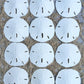 Nautical Crush Trading Sand Dollar Shells Set of 12 | Real White Sand Dollars 2.5" to 3" | Ideal for Weddings and Nautical Decor