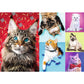 Trefl 1000 Piece Jigsaw Puzzle  Happy Cats
