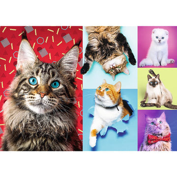 Trefl 1000 Piece Jigsaw Puzzle  Happy Cats