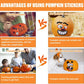 DECYOOL Halloween Pumpkin Decorating Stickers - 46 Pieces, Multicolor, Paper, Includes 30 Small Face Stickers for Kids, DIY Treats Party Favors