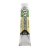 Rembrandt Watercolour Tube 20 ml Permanent green 662 (05046620)