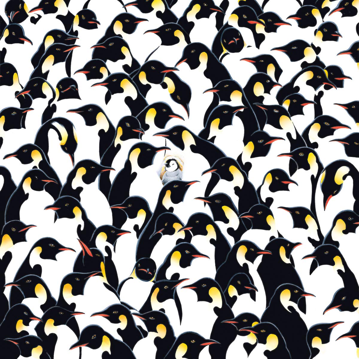 TDC Games 500-Piece Double-Sided Jigsaw Puzzle - World's Most Difficult Penguins - 15 in - Black