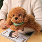 KIRIGAMI Dog Plush Toy - Realistic Weighted Golden Doodle, 11 inches, Brown Color