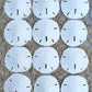 Sand Dollar - Real Sand Dollars 3 to 3 1/2 (Set of 12) - Sand Dollar Shells - Wedding Seashell Craft - Sand Dollars for Crafts -