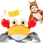Scuttle & Groove Crawling Crab – Baby Fun Tummy Time & Crawling Buddy