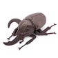 Zhongxin Made Simulation Atlas Beetle Stuffed Plush Toy - 10' Realistic Chalcosoma Atlas Animal Insect, Soft Crustaceans Animals Model, Unique Beetle Toys Model Dolls Gifts For Kids