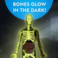 National Geographic Human Body Model For Kids That Glows In The Dark - 32-Piece Interactive Anatomy Model With Bones, Organs, Mu