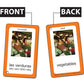 Edupress Spanish In A Flash Cards Set 1 (Ep62342)