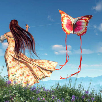 Butterfly Kite