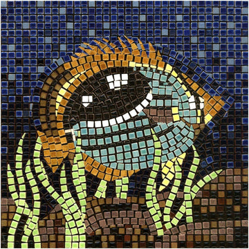 Art And Craft Kits For Adults: Make Your Own Mosaic, Square 20X20Cm Or 7Inch Fish