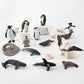 Wonwontoys 14Pcs Antarctica Penguin Figurines Toy Playset Arctic Penguin Lifecycle Realistic Sperm Whale Toys Cake Decoration Ch