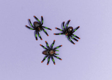 Halloween Assorted Plastic Spider