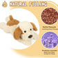 Cuckool Puppy Stuffed Animals, Microwavable Stuffed Animals Heating Pad For Cramps, Pain Stress Relief, Heatable & Coolable Lave
