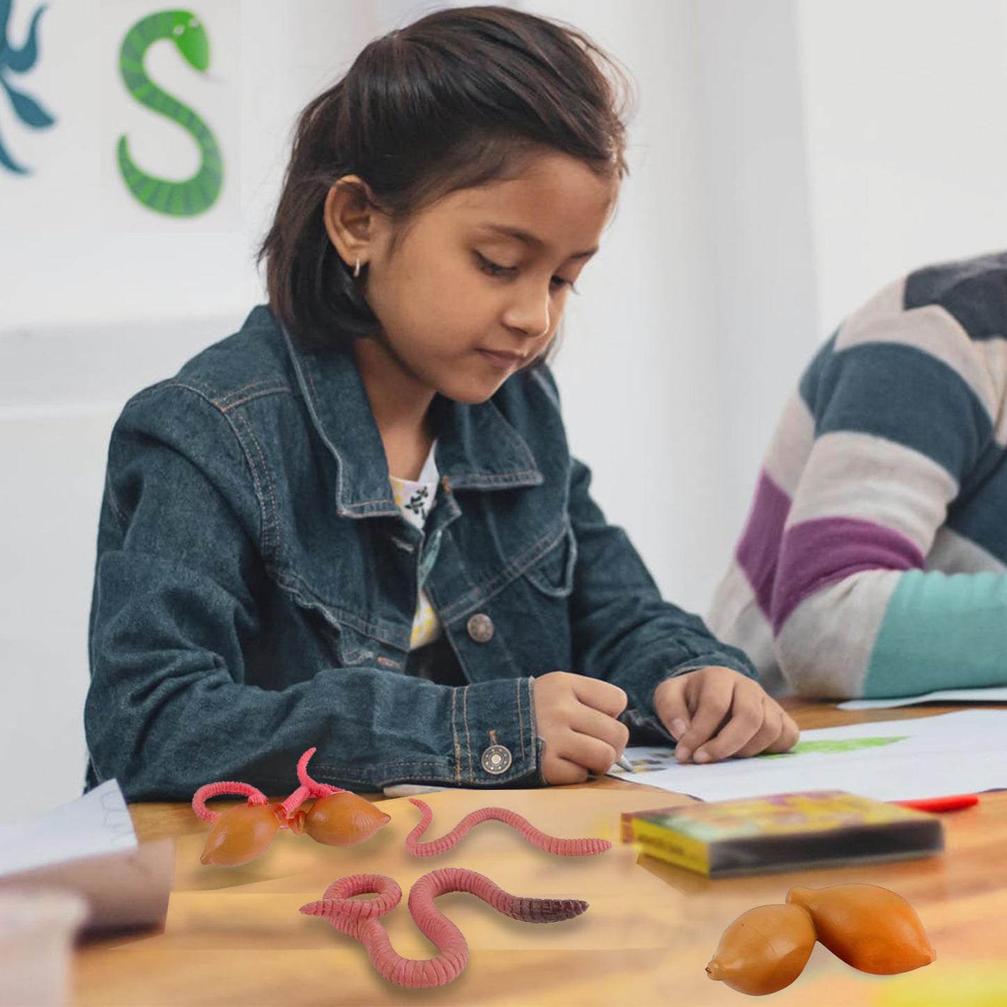 Life Cycle of Earthworm Toys Earthworm Life Cycle Figurines Set Realistic Preschool Animals Figures Eduactional Project Diorama Model Toy for Kids