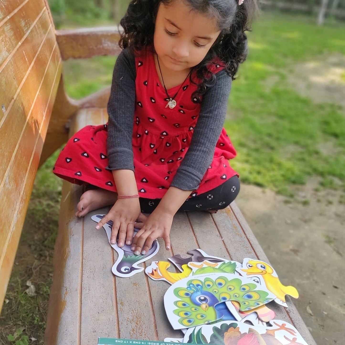 TOYKRAFTT Chunky Infant Floor Puzzle Toy, 2 Piece Puzzles for Kids Age of 2-3 Years, Animal Puzzles for Boys Girls, Educational