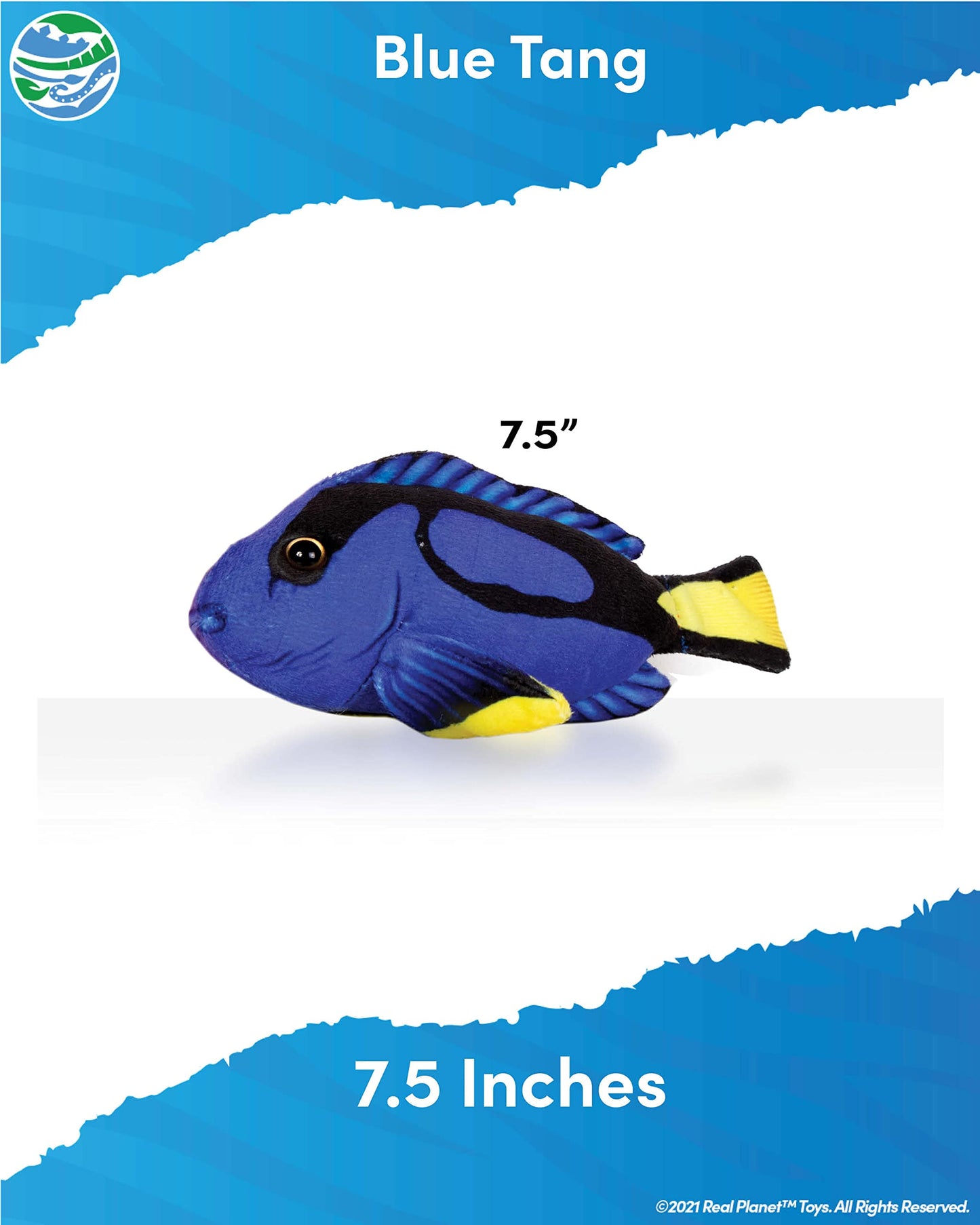 Real Planet Sea Life Plush - Soft Stuffed Animal Gift For Kids All Ages, Sea Ocean Fishing Plushie, Fun Christmas Birthday Gifts (Blue Tang, 7.5')