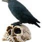 Raven On Skull Collectible Bird Crow Skeleton Figurine Statue Model