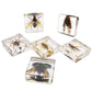 Insect Specimen Set, Bugs Collection Scientific Education Gift For Kids Aged 3-8-12 (Cicada, Wasp, Spider, Scorpion, Locust, Cha