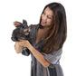 Folkmanis Gray Bunny Rabbit Hand Puppet, 1 Ea