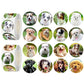 UVUXO 600 Pcs Dog Stickers for Kids- 1.5 Inch Round Stickers Roll 16 Tyles Cute Puppy Kindergarten Stickers Teacher Sticker for 