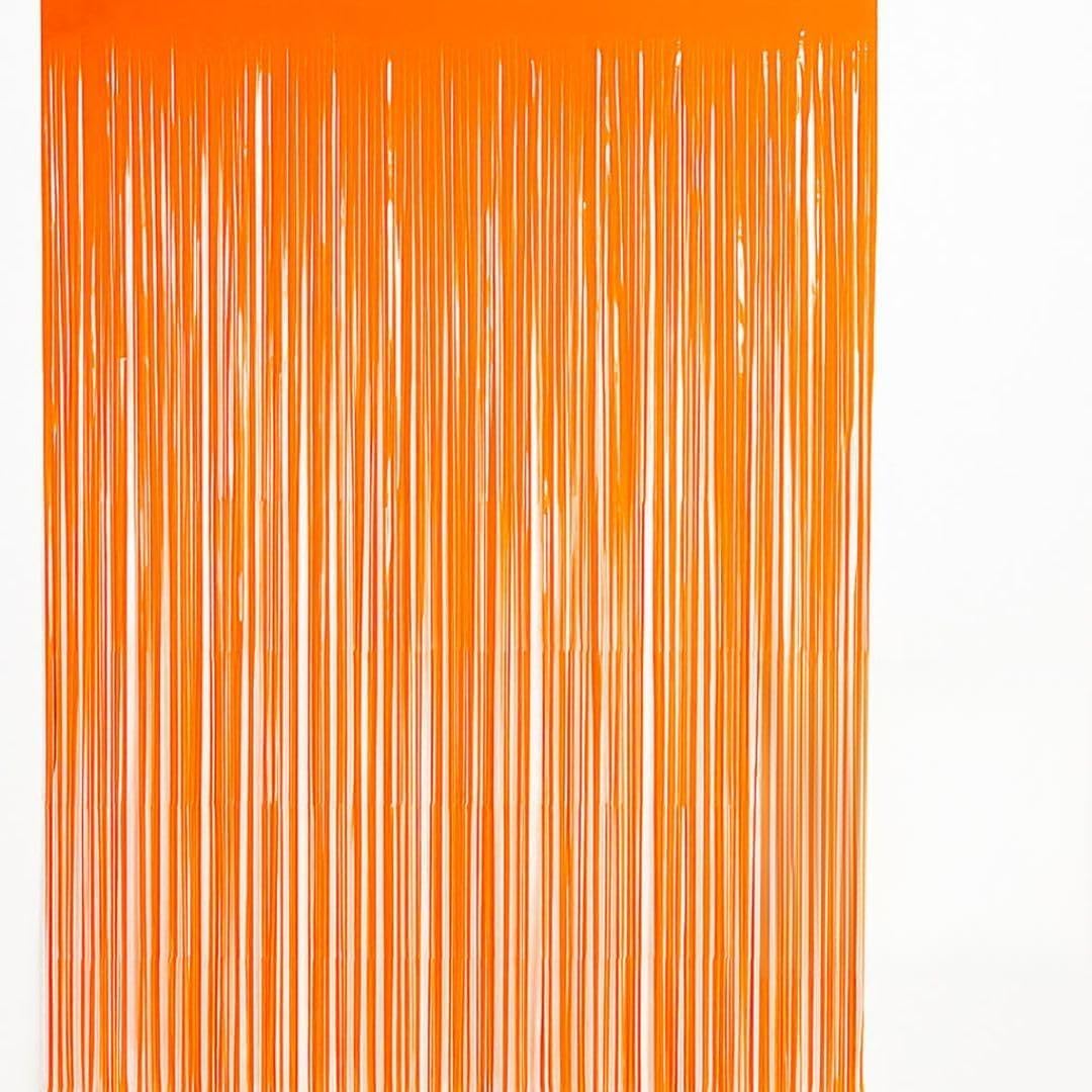 Wanna Party Neon Blue Orange Fringe Backdrop Foil Curtains, Tinsel Streamers Birthday Party Decorations, Fringe Photobooth Backd