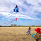 Butterfly Kite (Blue)