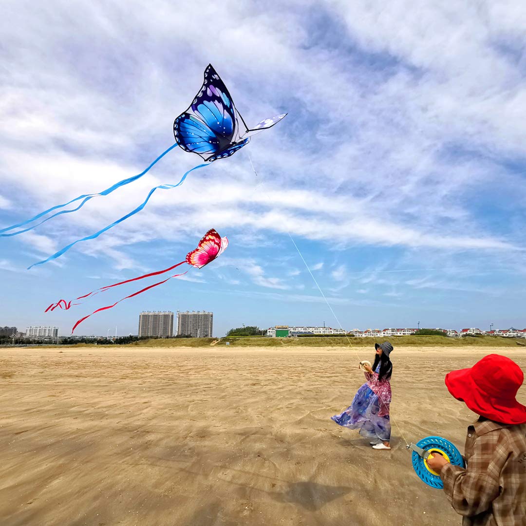 Butterfly Kite (Blue)