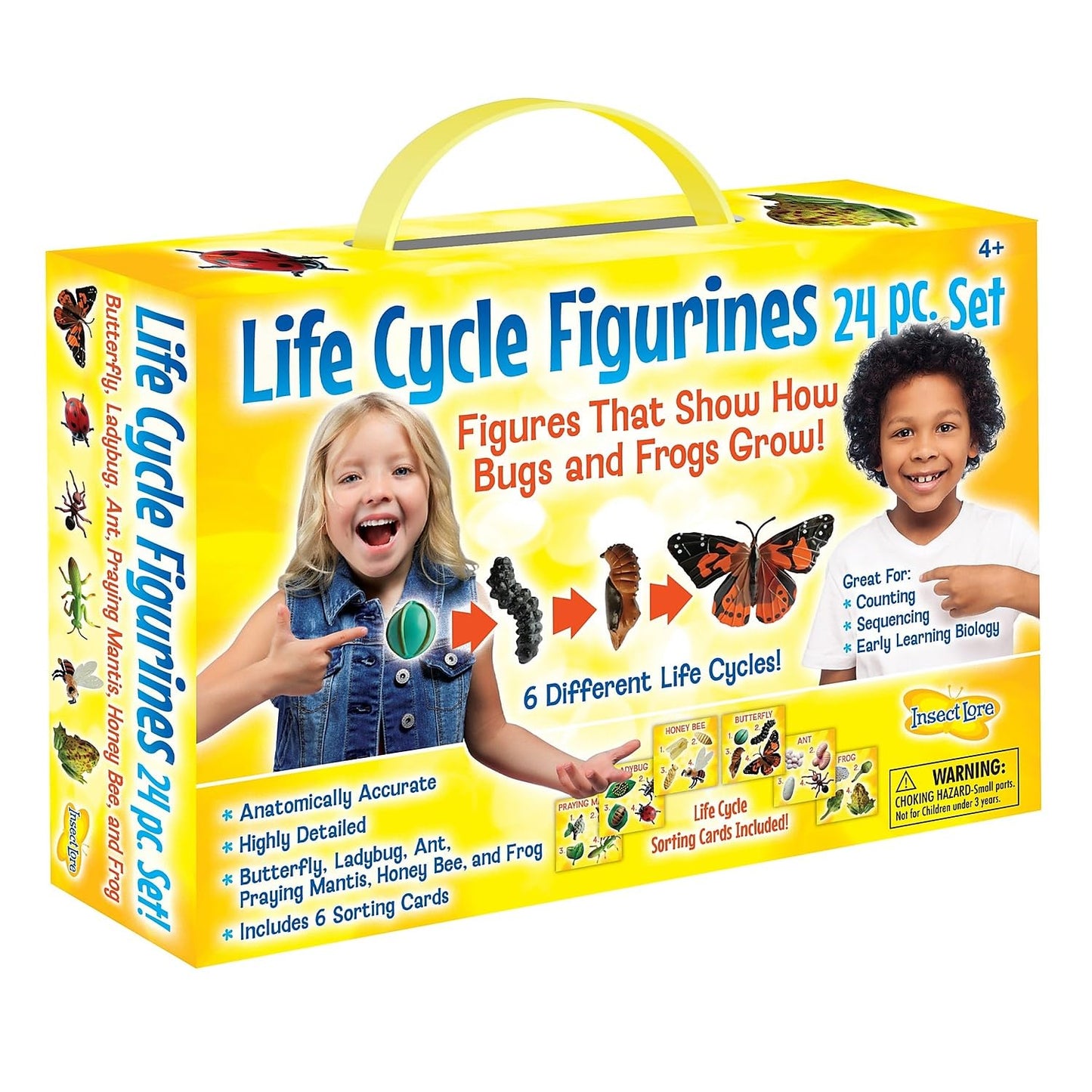 Insect Lore Life Cycle Figurines Set - 24 Pc, Includes Butterfly, Ladybug, Frog, Honey Bee, Ant, Praying Mantis, Plastic, Model 2205