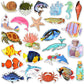 Ocean Stickers For Water Bottles Ocean Stickers For Kids Ocean Waterproof Stickers Vinyl Laptop Stickers(50 Pcs)