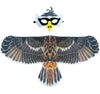 D.Q.Z Bird-Wings-Eagle-Costumes For Kids Dress Up Toys Parrot Halloween Role Play Animal Party (Gray)