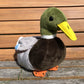 TigerHart Dakota Duck Plush - 13 Inch Stuffed Animal, Soft White Toy for Kids, Perfect Gift for Babies and Toddlers