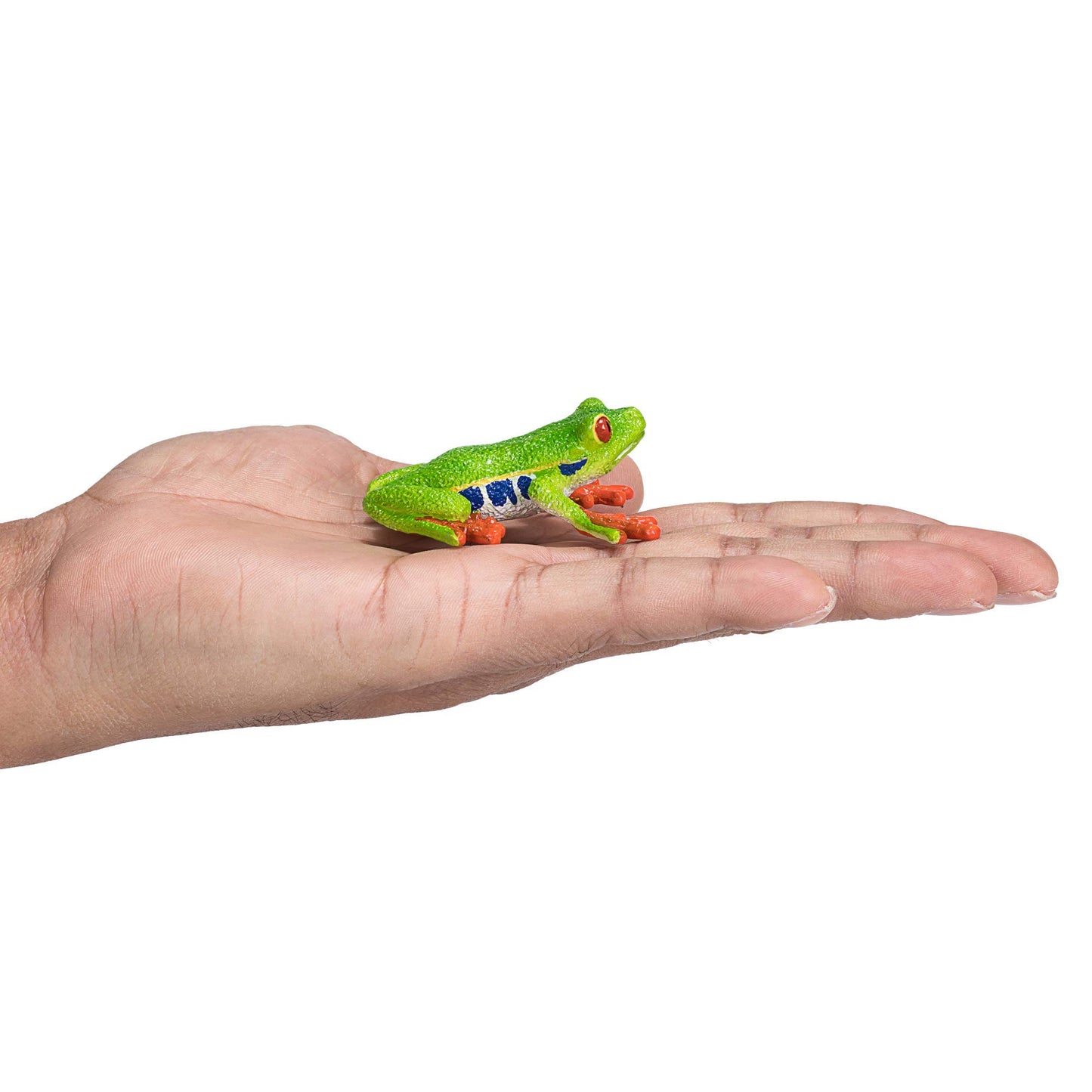 Mojo Red Eyed Tree Frog Realistic International Wildlife Hand Painted Toy Figurine