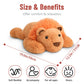 Niuniu Daddy 20'' | 3.3 Pound Weighted Lion Stuffed Animals For Adults, Cute Soft Lion Plush Toy For Toddler Teens Kids, Large L