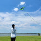 Beach Kites For Adults Large With Long Tail, 98 Inches Super Easy Flyer 3D Rainbow Box Kites, Come With 49 Feet Multi Colors Tails X 2, 300 Ft Kite String & Handle (Black Green)