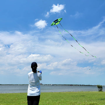 Beach Kites For Adults Large With Long Tail, 98 Inches Super Easy Flyer 3D Rainbow Box Kites, Come With 49 Feet Multi Colors Tails X 2, 300 Ft Kite String & Handle (Black Green)