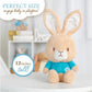 Kids Preferred Beatrix Potter Peter Rabbit Cuteeze Bunny Stuffed Animal Soft Plush Toy For Baby And Toddler Boys And Girls - 12