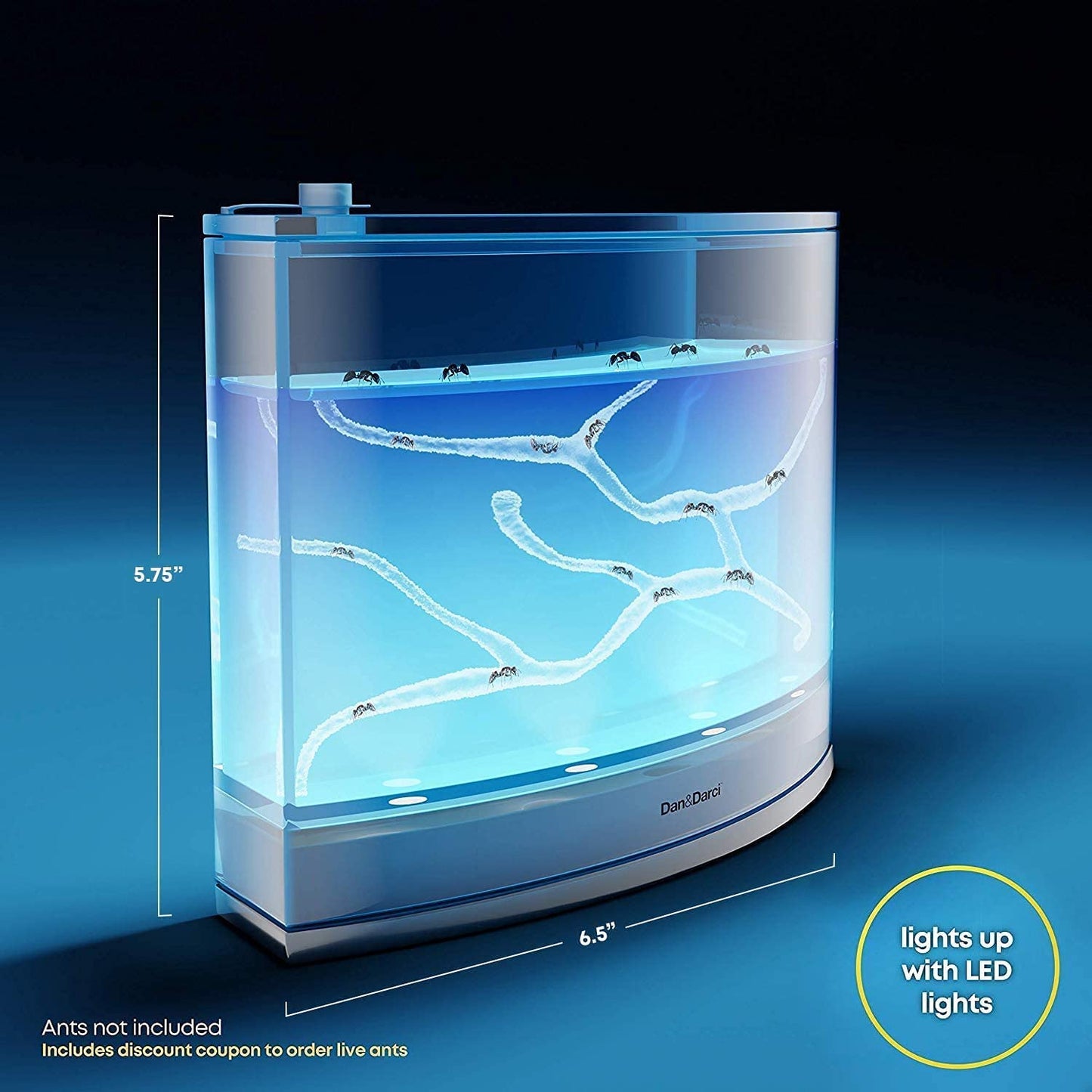 Dan&Darci Light-up Ant Farm Kit – LED Habitat with Nutrient Gel – Science Toy for Kids, Model DD-026