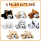 8-Piece Plush Pets Set, 5-Inch Assorted Stuffed Animals, Small Long-Hair Dogs For Kids, Classroom & Party Decorations