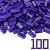 Feleph 100Pcs 2X4 Bricks Dark Purple Pieces Parts Classic Building Kit Creative Play Set Basic Blocks Toy Accessories Compatible With 3001 Major Brands