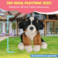 Forest & Twelfth 12'' Stuffed Bernese Mountain Dog Plush, Heirloom Collection Stuffed Animal, Premium Materials, Best Gift For K