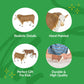 Big Country Toys Hereford Bull - 1:20 Scale - Hand Painted - Farm Toys - Farm Animal Toys