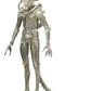 Neca - Alien - 7” Scale Action Figure - 40Th Anniversary Asst 1 Big Chap (Concept)